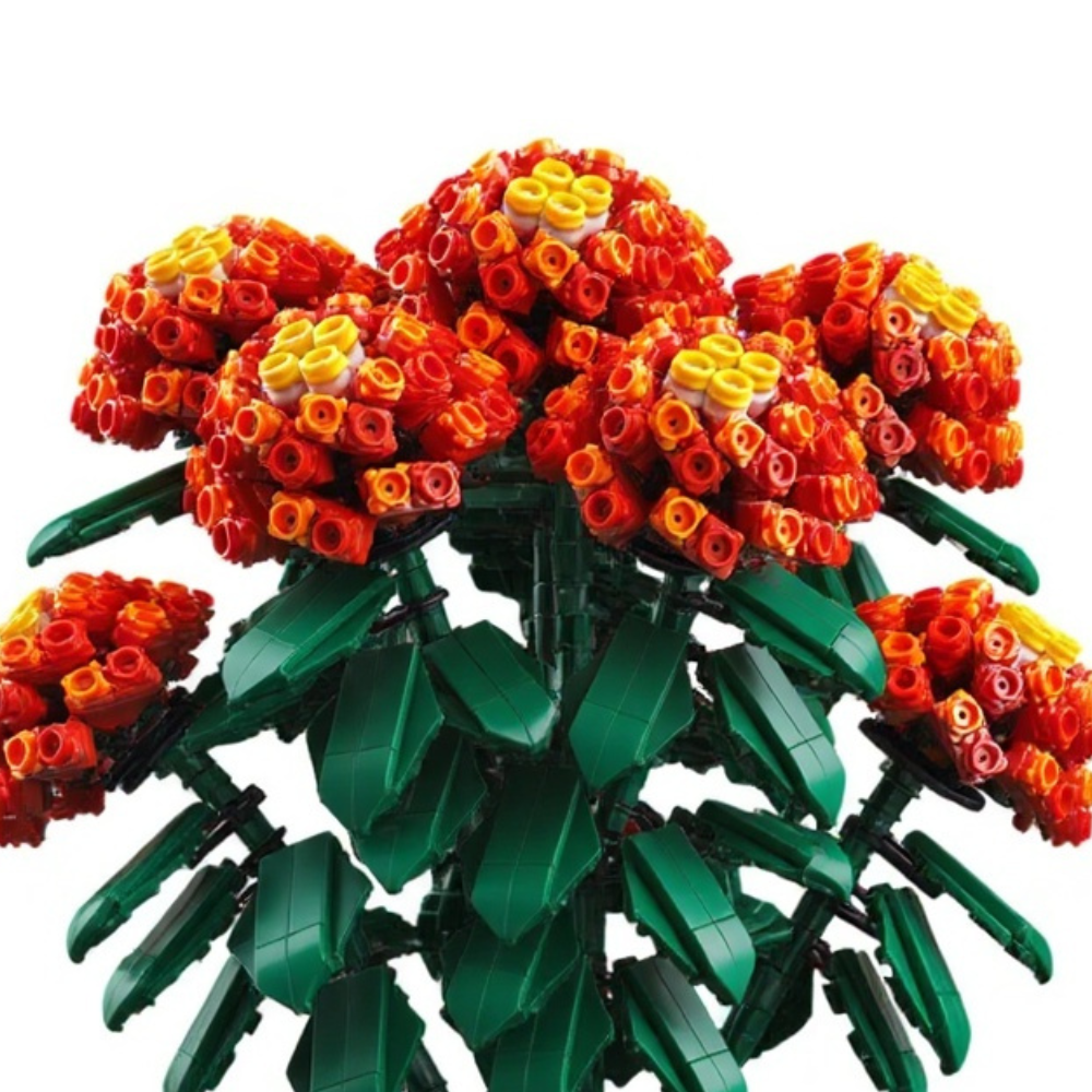 Hortensia Orange Flamboyant - À assembler avec zénitude