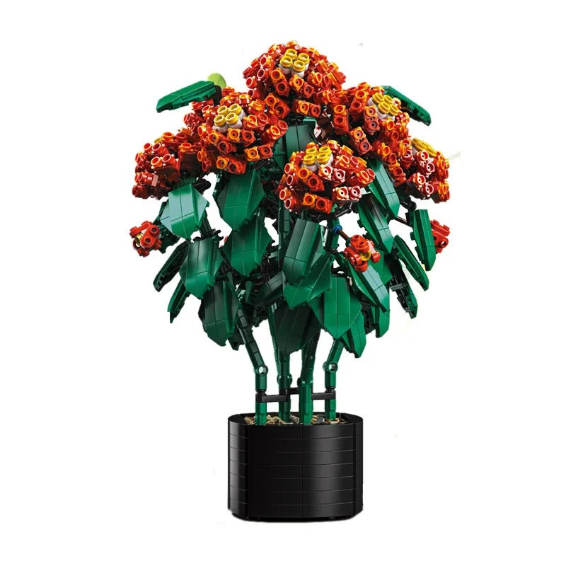 Hortensia Orange Flamboyant - À assembler avec zénitude