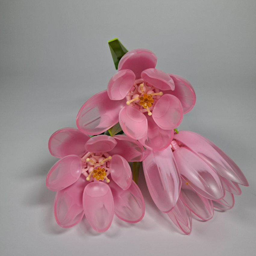 Tulipes Rose Pastel - À assembler avec tendresse