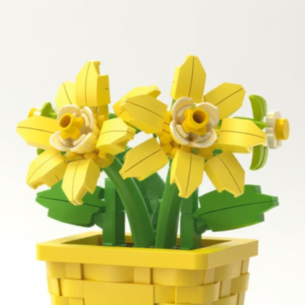 Jonquilles Éclatantes - À assembler avec fraîcheur