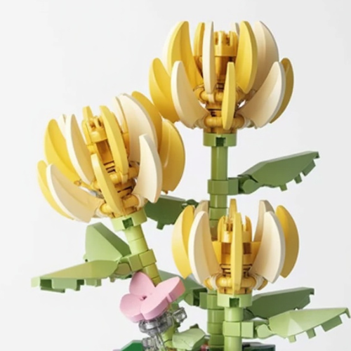 Magnolia Soleil - À assembler avec passion