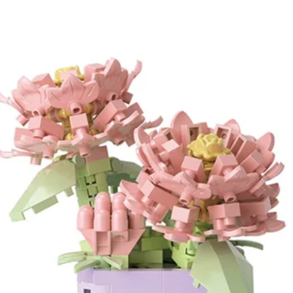 Marguerite Rose Tendre – À assembler avec légèreté