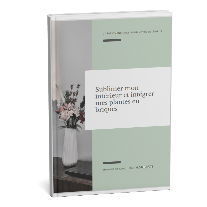 Guide Créatif : "Sublimez mon intérieur et intégrer mes plantes en briques"